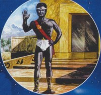 Telové